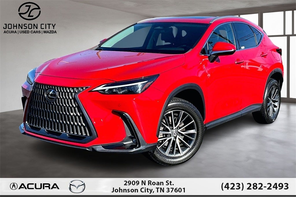 2024 Lexus NX 250 Premium
