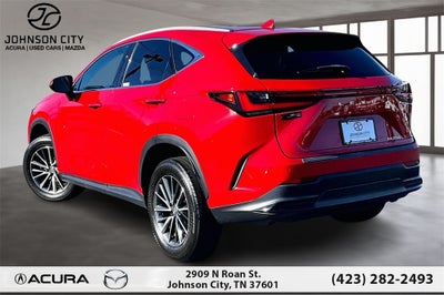 2024 Lexus NX 250 Premium