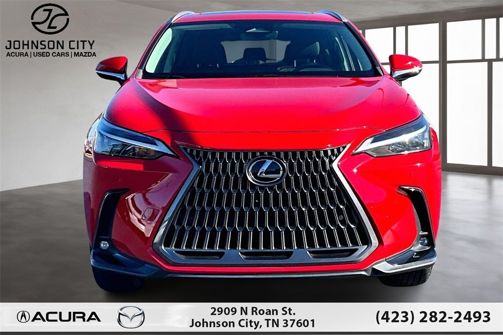 2024 Lexus NX 250 Premium