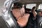 2026 Acura RDX Technology Package SH-AWD