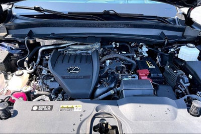 2024 Lexus TX 350 Luxury