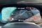 2021 BMW X5 M50i